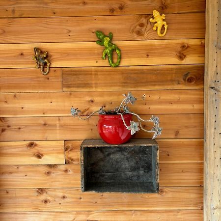 Les Flo Location Aigues-Mortes Exterior foto