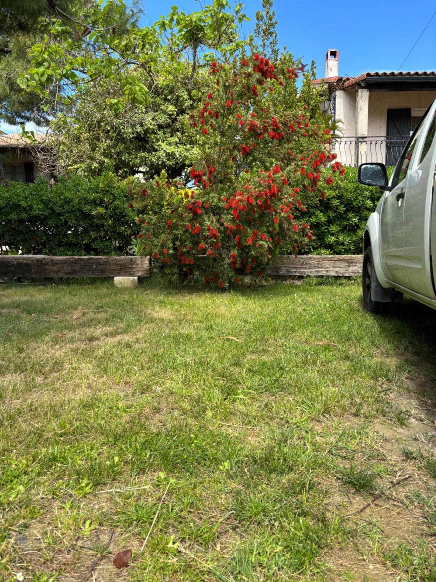 Les Flo Location Aigues-Mortes Exterior foto